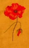 Filename=RRautomne_fleurs.jpg
Filesize=4KB
Dimensions=120x200
Date added=Dec 01, 2003 RRautomne_fleurs.jpg